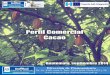 Presentaciónweb.maga.gob.gt/diplan/download/informacion_del_sector/perfiles_de... · chocolate.html Presentación El ... Canales del mercado de la UE para comercialización del cacao