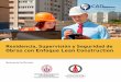 Residencia, Supervisión y Seguridad de Obras con …cadperu.com/sites/default/files/dossier_-_lean_construction1.pdf · habilidades y destrezas del profesional, para asumir con alta