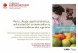 Perú. Auge gastronómico, articulación a mercados y ...comercializacionaf.org/wp-content/uploads/2016/05/apega-alianza... · América Latina y sus agriculturas País Extensión