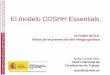 El modelo COSHH Essentials - istas.ccoo.es · panaderías, soldadura, canteras, artes gráficas, etc – No pasa por el modelo de evaluación – Ofrece las soluciones técnicas directamente