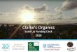Clarke’s Organics€¦ · Dr Bronners Coconut Oil –Empresa de Jabon Calidad generica, sin proceso de produccion especificado, historia de impacto nublosa, …