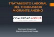 TRATAMIENTO LABORAL DEL TRABAJADOR …€¦ · Derechos y deberes contenidos en la legislación nacional Comoquiera que el trabajador migrante andino va a realizar una actividad laboral