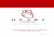 IRRIGACIÓN ARTERIAL Y DRENAJE ... - …heartlaboratory.com/sites/...arterial_y_drenaje_venoso_del_corazon.pdf · La arteria coronaria derecha, vista desde la cara inferior, en este