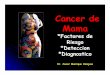 Prevención del Cancer de Mama - inen.sld.pe · incidencia del cancer de mama variaciones de pais a pais grupos etnicos migracion a otrospaises 12 por 100,000 mujeres 90 por 100,000