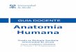 Anatomía Humana - uah.es · 3 1a. PRESENTACIÓN La Anatomía Humana se integra como asignatura básica del primer año de los estudios de grado en Ciencias Biosanitarias