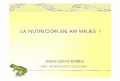 LA NUTRICIÓN EN ANIMALES I - IES DIONISIO …iesdionisioaguado.org/joomla/Distancia/ccnn/bygnutricionanimales1.pdf · LA NUTRICIÓN EN ANIMALES I CONTENIDOS: LA NUTRICIÓN EN LOS