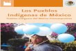 Los Pueblos Indígenas de México sobre el autor Federico Navarrete Linares es doctor en estudios mesoamericanos por la Universidad Nacional Autónoma de México (uNam). Se ha especializado
