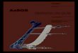 AxSOS Sistema de guía - remeco.com · 3 Introducción El Sistema de Placas de Fijación AxSOS está diseñado para tratar las fracturas periarticulares o intraauriculares del fémur