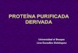 Universidad el Bosque Lina González Bohórquezaplicaciones.suranet.com:8002/FormacionVirtual/DinamicaIPS/ClubD... · Mantoux consiste en la introducción de tuberculina (PPD) al