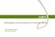 Estrategia conservación en fruta de hueso - INIA … · Estrategia de Control Integrado de Monilia ... •Sin resistencia cruzada con los fitosanitarios en ... hectáreas de invernaderos