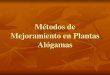 Métodos de Mejoramiento en Plantas Alógamas - UNCagro.unc.edu.ar/~mejogeve/PobAlogamas2013.pdf · Combinatoria Específica Variedades de Variedades Variedades Polinización libre