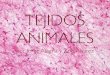 TEJIDOS ANIMALES - geobioas.files.wordpress.com · INTRODUCCIÓN • Células animales Mayor grado de diferenciación • Mayor complejidad = Mayor diferenciación en sus células