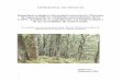 Integridad ecológica, Diversidad estructural y Patrones … · • Describir la composición, estructura y dinámica de los bosques semi-naturales ... Naturaleza correspondientes