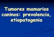 Tumores mamarios caninos: prevalencia, etiopatogenia · de los animales. Desarrollo y diferenciación del sistema reproductivo embrionario, masculinización o ... •Lactación fisiológica