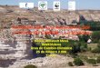 Programa de Ayuntamientos por el Clima de Castilla – …assets.wwf.es/downloads/presentacion_toledo__educacion_red_clm.pdf · 9En Illescas, Toledo, (150 part) 9En Madridejos, (300