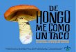 Recetario-catálogo de hongos recolectados en El … · Lorena Ortega Rodríguez Manuel López Rocha Darwin Bell (2006) (p. 24: https: ... Predomina un clima semifrío húmedo con
