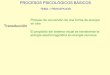 PROCESOS PSICOLÓGICOS BÁSICOS - Universidad de …casolano/PPB2004_2005/EtapasPercepcion.pdf · se representa la silueta de las figuras Esbozo de dos dimensiones y media Descripción