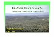 El aceite de oliva Brigida Jimenez - files.terra-olea.orgfiles.terra-olea.org/.../El_aceite_de_oliva-es.pdf · el aceite de oliva obtenciÓn, composiciÓn y categorÍas brígida jiménez