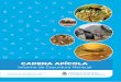 CADENA APÍCOLA - Alimentos Argentinos - Subsecretaría de ... · importancia de trabajar en pos de fortalecer el sistema de Trazabilidad de la Cadena Ap cola: ... Uno de los principales