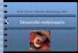 Prof. Javier Cabello Shomburg, MS - Página Principalanatomia241.weebly.com/.../desarrollo_embrionario.pdf · Fases del desarrollo embrionario ... • En el interior se forma una