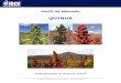 PERFIL DE MERCADO QUINUA 240310quinua.pe/wp-content/uploads/2016/06/perfil_mercado_quinuaCB10.pdf · Perfil de Mercado Quinua _____ Instituto Boliviano de Comercio Exterior -