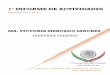 1° INFORME DE ACTIVIDADES - Gaceta …gaceta.diputados.gob.mx/PDF/InfoDip/63/331-20170829-I.pdf · La labor primordial de un legislador dentro de la cámara de diputados es presentar