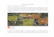 ANÁLISIS DEL LUGAR Historia y características del …repositorio.usfq.edu.ec/bitstream/23000/830/4/98084 (Cap.3).pdf · Clasificación del suelo:(SU) Suelo Urbano Uso Principal: