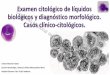 Examen citológico de líquidos biológicos y diagnóstico ...labclin2016.pacifico-meetings.com/images/site/Ponencias_LabClin... · • Liquidos serosos • L.Pleural (LPLEU) 