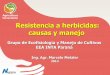 Resistencia a herbicidas: causas y manejo · Manejo de malezas resistentes Sorgo de alepo resistente a glifosato Echinochloa colona resistente a glifosato Loluium multiflorum y Loluium