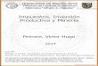 Impuestos, Inversión Productiva y Mineríabibliotecadigital.econ.uba.ar/download/tesis/1501-1241_PeironeVH.pdf · 3 El análisis de la problemática descripta pertenece al campo