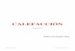 7.-CALDERAS (162 a 172) [v.cwk (WP)files.pfernandezdiez.es/Refrigeración/PDFs/07cal.pdf · I.2.- CLASIFICACION DE LAS CALDERAS SEGUN EL TIPO DE COMBUSTIBLE Las calderas se clasifican,