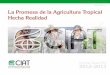La Promesa de la Agricultura Tropical Hecha Realidadciat-library.ciat.cgiar.org/Articulos_Ciat/annual_report/informe... · Se intensifican esfuerzos para descifrar “sopa de letras”