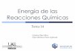 Energía de las Reacciones Químicas - cartagena99.com (T.14).pdf · Reacciones Químicas Tema 14 Cristina Díaz Oliva Dpto Química Física Aplicada. Energía de las Reacciones 