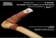 WORKSHOPTALLARELSÍLEX El trabajo de la madera …tallarsilex.com/wp-content/uploads/2014/10/Curso-Segovia-IX... · • elaboraciÓn y uso de buriles y raspadores en sÍlex • Útiles