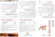 Niveles de Proteína Bruta Energía kcal/kg Humedad ... - colonias…colonias.com.py/home/wp-content/uploads/2017/06/triptico-Cerdos.pdf · Niveles de Proteína Bruta Energía kcal/kg
