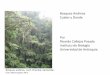BosquesAndinos Cualesy Donde Por Ricardo Callejas …€¦ · • Bioma (gr. bios, vida) Biomas: unidades ecologicas o ecosistémicas ... • ó Bosques montanos de los Andes del