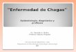 “Enfermedad de Chagas” - fmed.uba.ar · Miocarditis Meningoencefalitis Enfermedad de Chagas AGUDA . FASE CRÓNICA Sin patología demostrable Con patología demostrable CARDIOLÓGICA