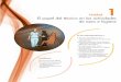 Unidad El papel del técnico en las actividades de aseo …spain-s3-mhe-prod.s3-website-eu-west-1.amazonaws.com/bcv/guide/... · 9 El papel del técnico en las actividades de aseo