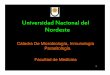 Universidad Nacional del Nordesteecaths1.s3.amazonaws.com/catmicromed/356288555.Enterobacterias 2… · enteroinvasiva. La materia fecal puede presentar sangre, moco y leucocitos