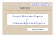 Conceptos Básicos sobre Proyectos y La Gerencia de ...webdelprofesor.ula.ve/ingenieria/gbriceno/gerencia_proyectos... · se planteó un proyecto de riego para dar una ... organización
