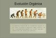 Evolución Orgánica - zoologiageneral.com.ar · reproducirse y de dejar descendencia con estas ventajas.!!23. Impacto de la Teoría al ser publicada