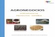 AGRONEGOCIOS - direcon.gob.cl · El proyecto pretende la instalación de al menos 2 plantas agroindustriales para procesamiento de frijol rojo para consumo humano, ubicadas en las
