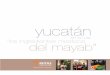 en la ruta “los ingredientes mestizos del mayab”rutasgastronomicas.sectur.gob.mx/descargas/rutas/folletos/YUC.pdf · transitar por el Paseo de Montejo, con su arquitectura francesa