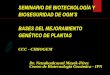 BIOSEGURIDAD DE OGM’S - conacyt.gob.mx · la producción de semilla híbrida en escala comercial para aprovechar la heterosis. j) Híbridos obtenidos entre maíz y sorgo en el CIMMyT