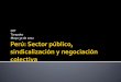OIT Tarapoto Mayo 30 de 2012 - OIT en América Latina y …white.lim.ilo.org/spanish/260ameri/oitreg/activid/proyectos/actrav/... · 63.2 7.0 13.0 D.Leg 276 Administrativos Carrreras