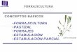 FORRAJICULTURA PASTIZAL FORRAJES …ecaths1.s3.amazonaws.com/plantastoxicas/464857815.Forrajicultura... · Factores que afectan la producción de pastos •Temperatura (macollamiento,