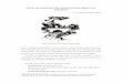 Hernán, sus cuentos para niños y jóvenes (y otras … cuentos.pdf · Ilustraciones Gonzalo Endara Crow. ... Quito, Casa de la Cultura Ecuatoriana “Benjamín Carrión”, 2007