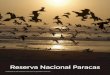 Reserva Nacional Paracas - Argentina Ambientalargentinambiental.com/.../pdf/AA78-56-Reserva_Nacional_Paracas.pdf · interior diversos restos arqueológicos de la cultura Paracas Ostrero