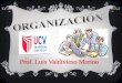 Prof. Luis Valdivieso Merino · una organización como una variable de contingencia. El tramo de control es importante porque determina el ... Los gerentes que cuentan con empleados