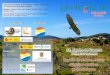 Presentación de PowerPoint · Organització Geolodía 16 Illes Balears - Eivissa: Associació de Geòlegs de les Illes Balears (AGEIB). Monitors: Sunna Farriol, Xavi Guasch, Enrique
